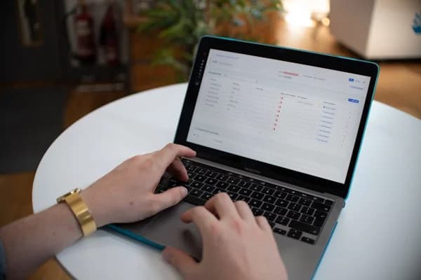 Hands Typing Spreadsheet